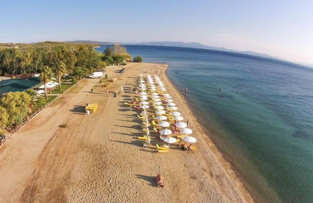 Koropi