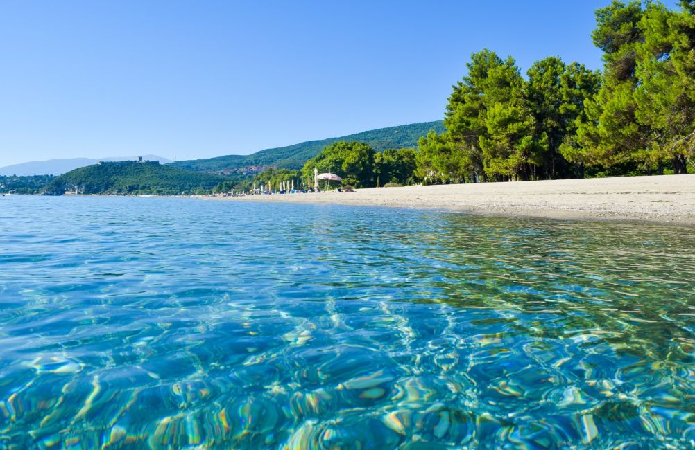 Skotina