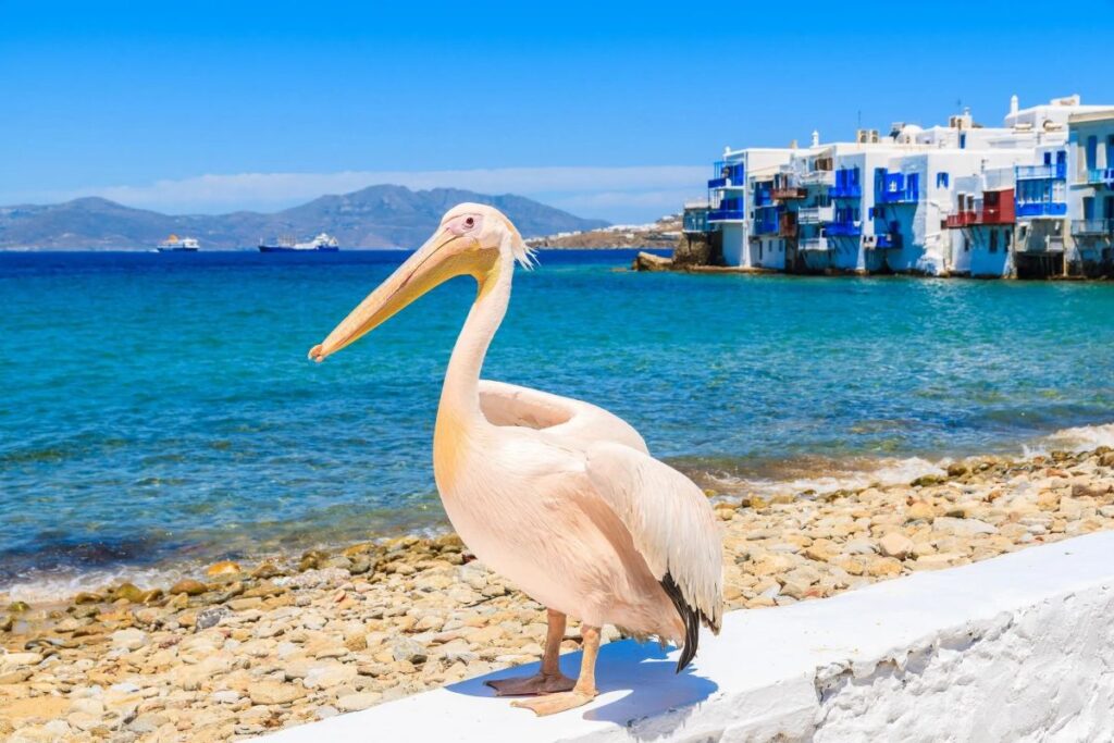 Mikonos
