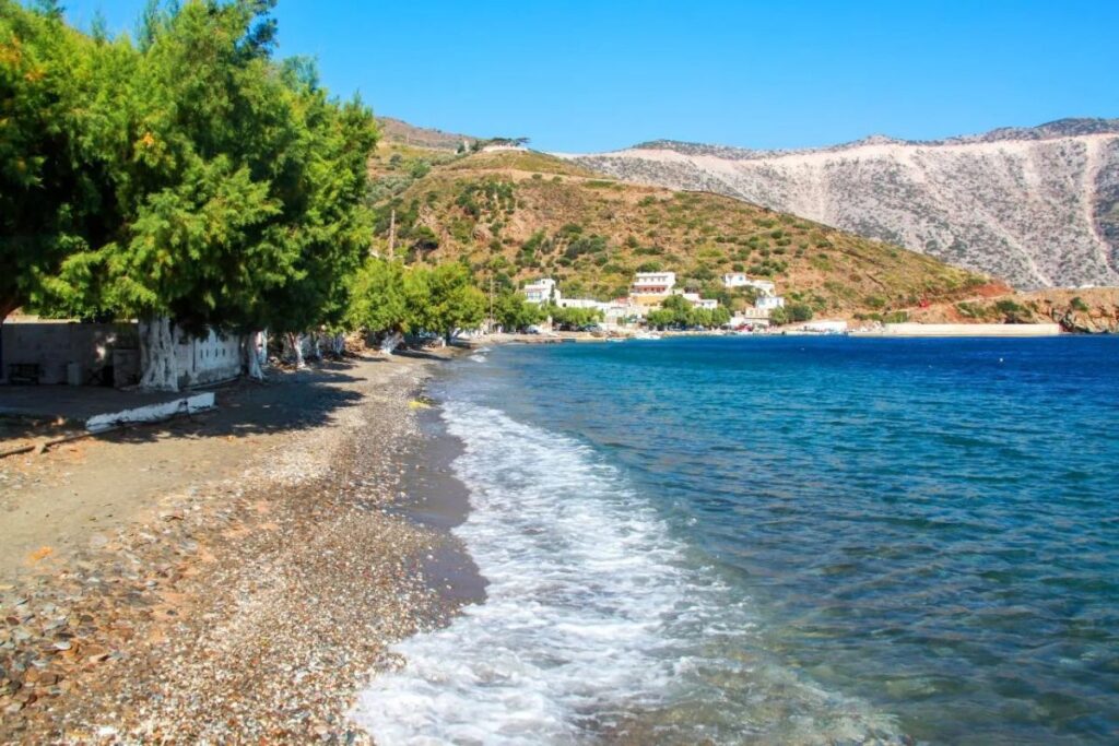 Hrisomilija