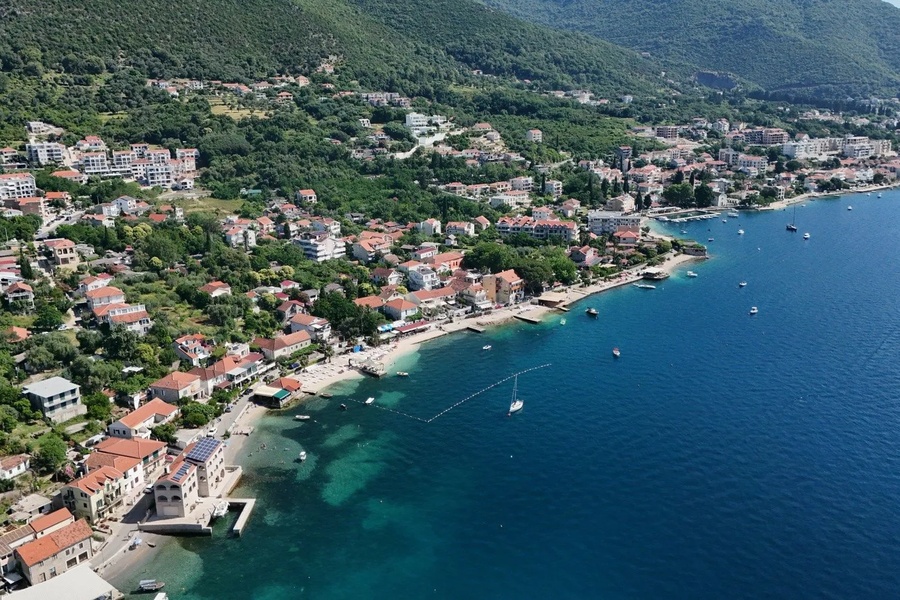 Djenovići