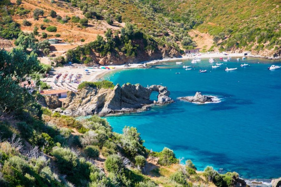 Kalamos