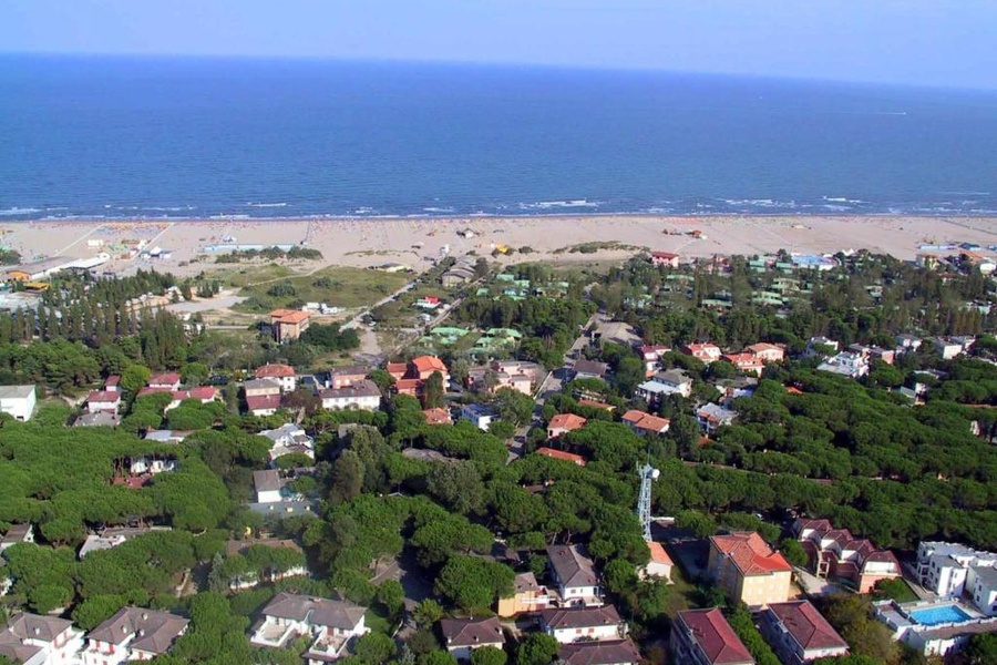 Rosapineta