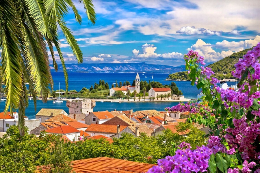 Vis grad